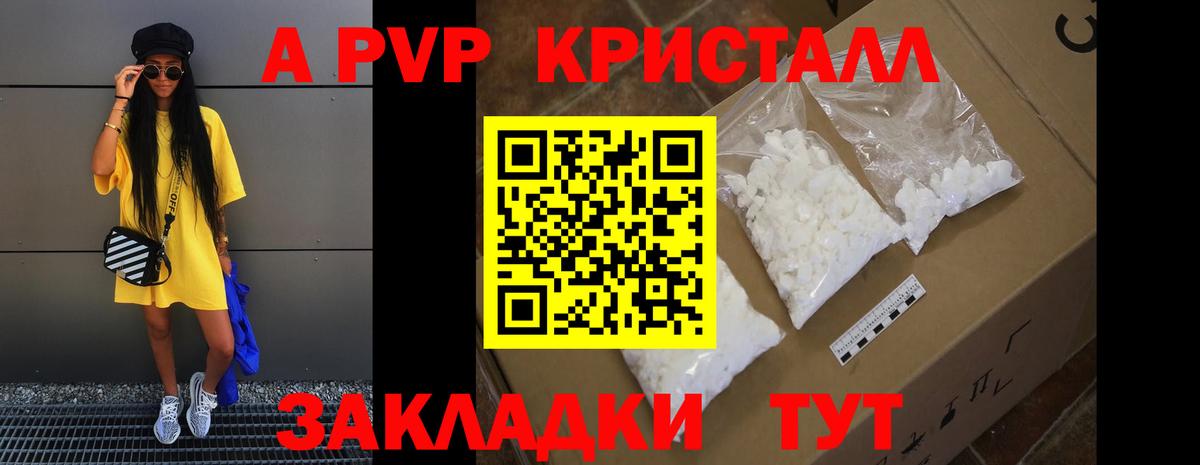 A PVP СК Новоалександровск