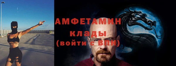 стаф Абинск