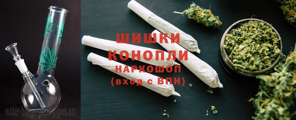 СК Россошь