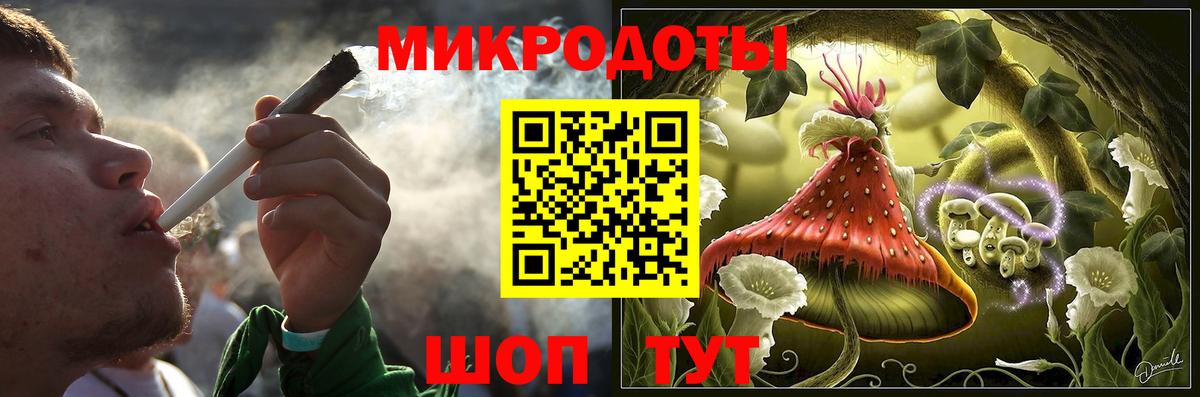 купить наркотик  Вход с VPN  Галлюциногенные грибы Psilocybe  Новоалександровск  Псилоцибиновые грибы Psilocybe 